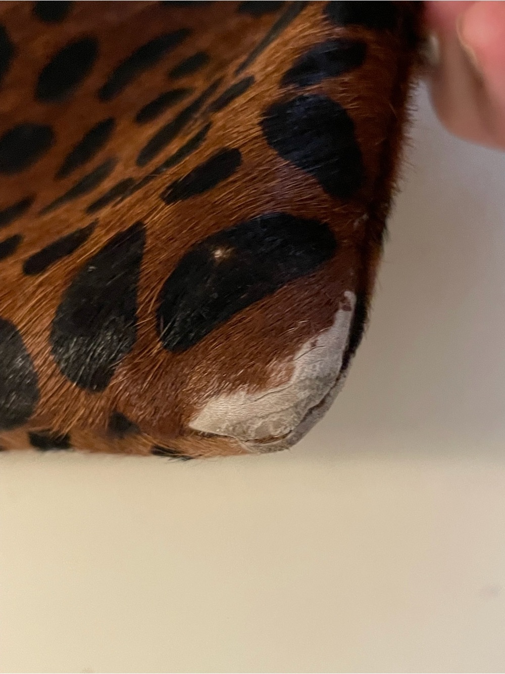 Clare V Leopard Haircalf Zip Pouch - Picture 5 of 12